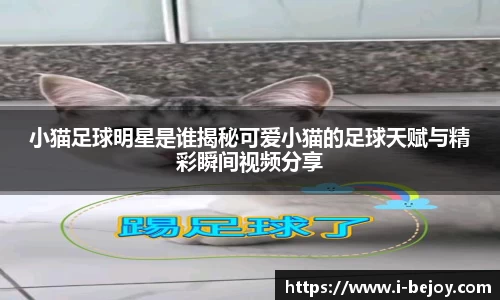 九游会(J9) - 真人游戏第一品牌